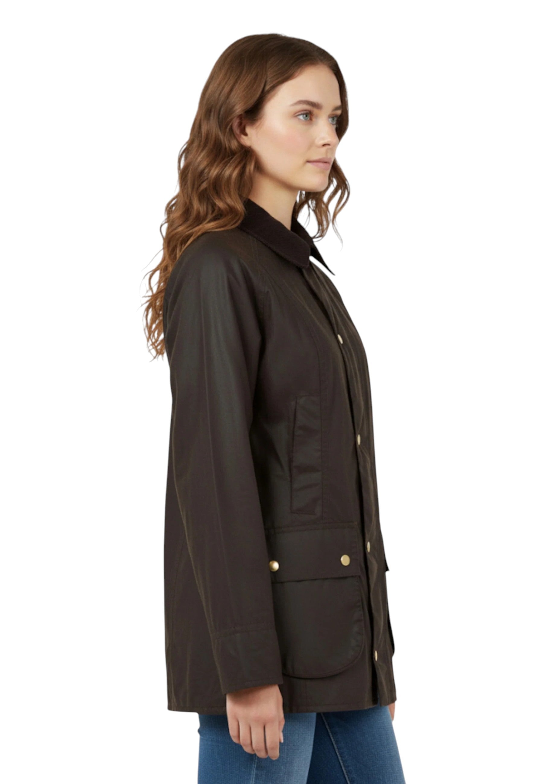 GIUBBOTTI Marrone Barbour