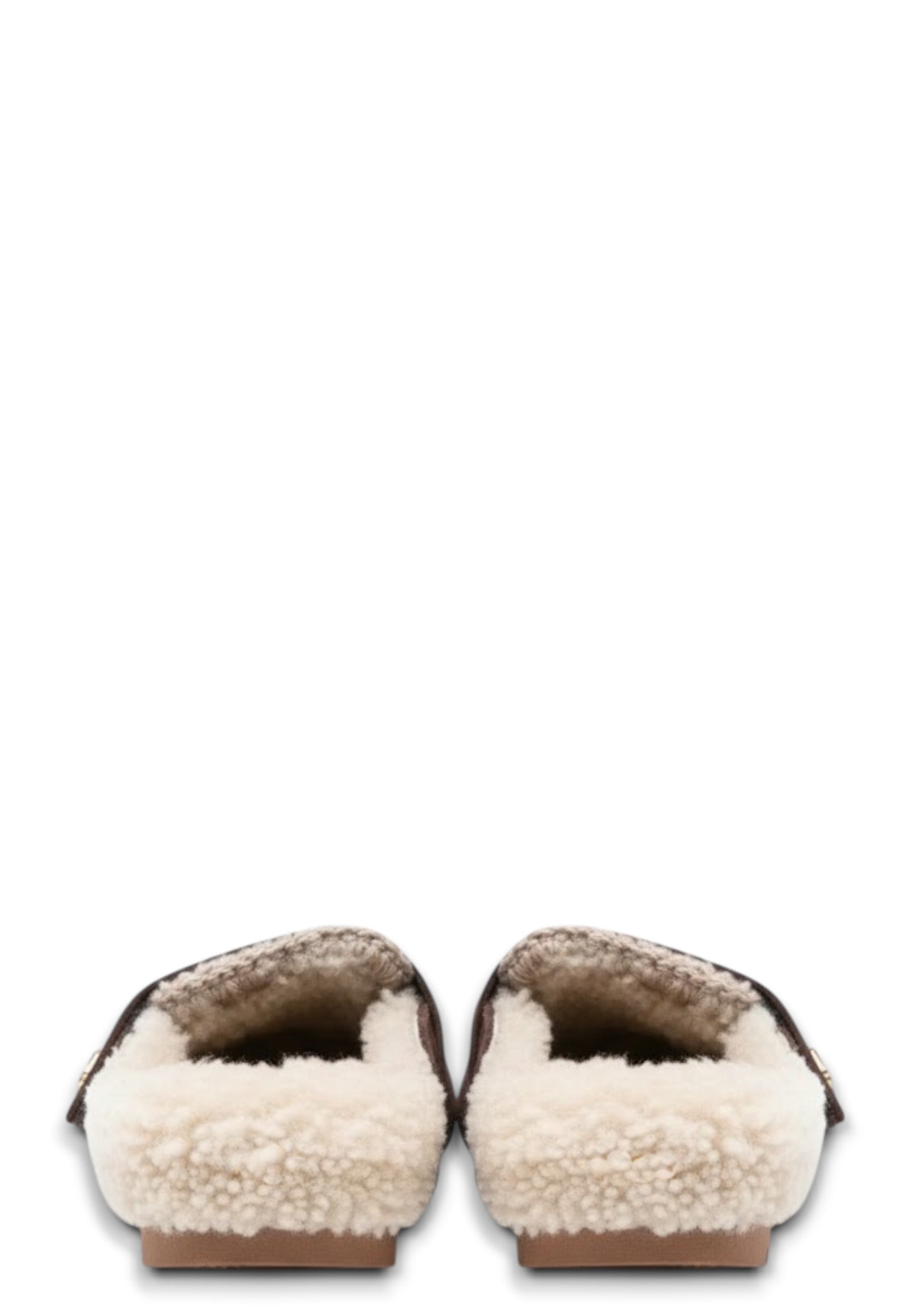 CIABATTE Marrone Mou