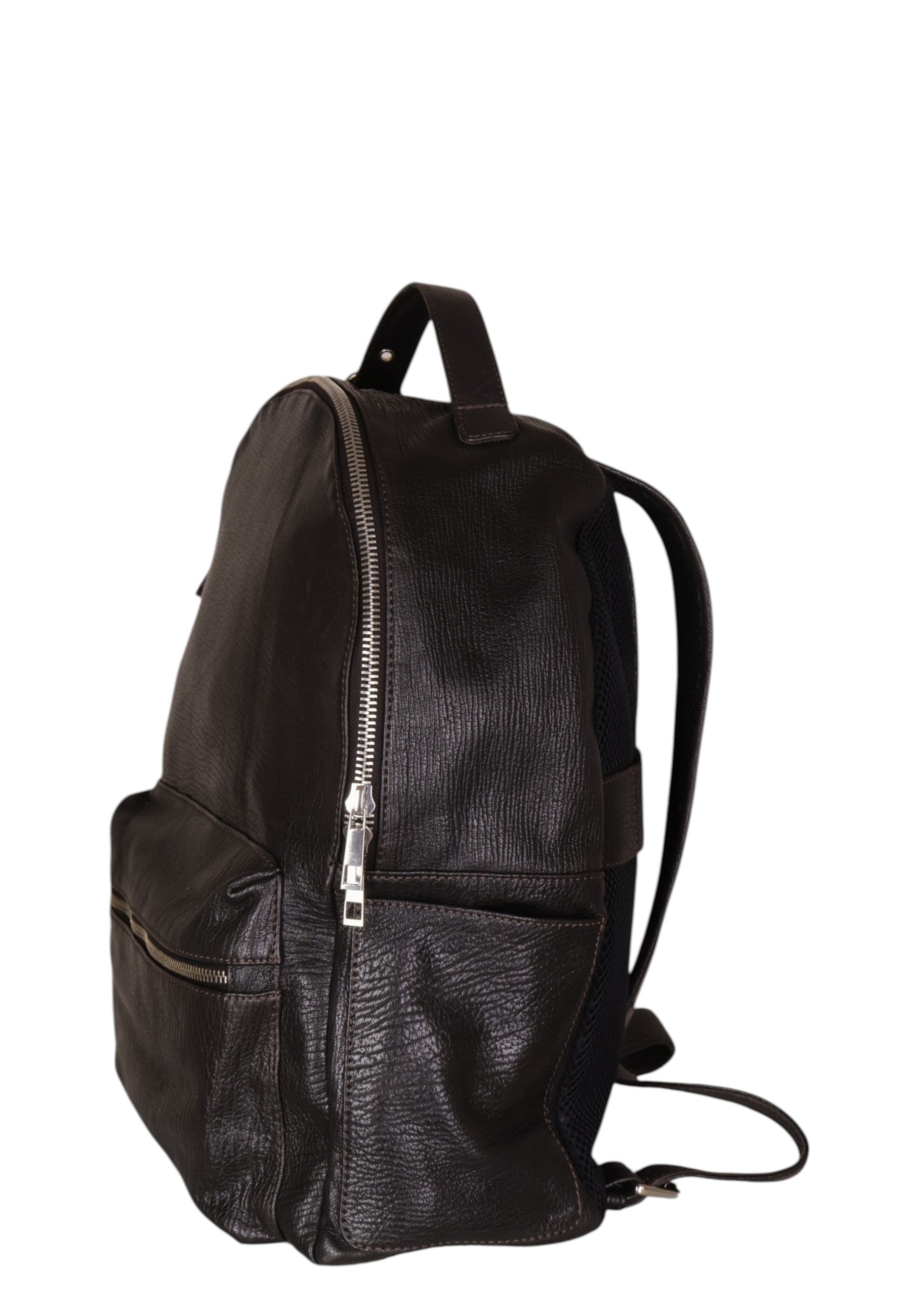 ZAINI Marrone Authority