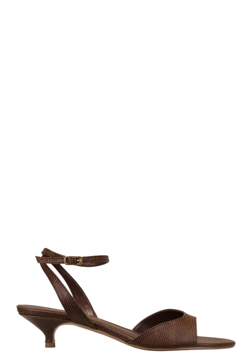 LIZARD - CHOCO - 10Decimi