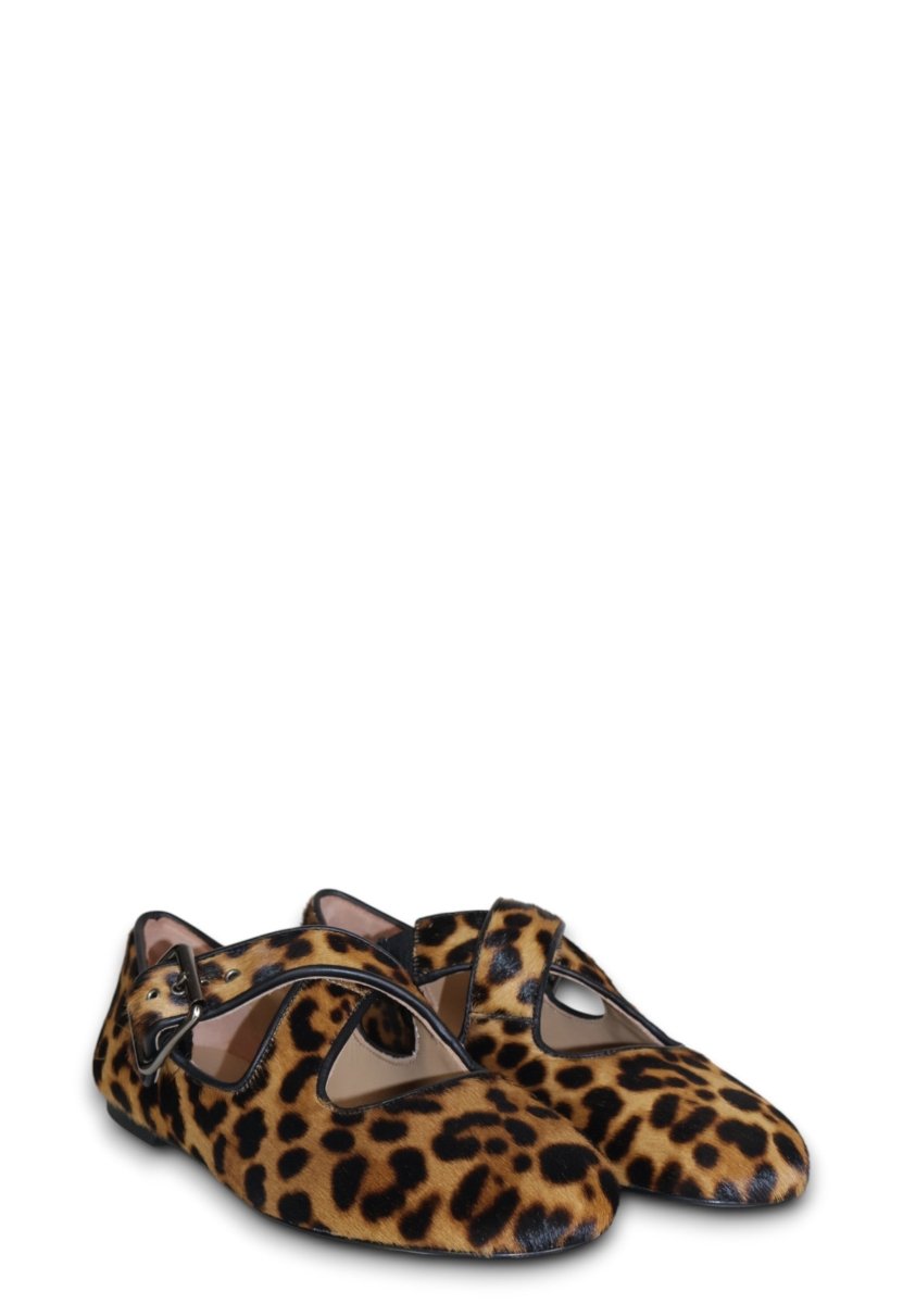 pony - leopardato - 10Decimi