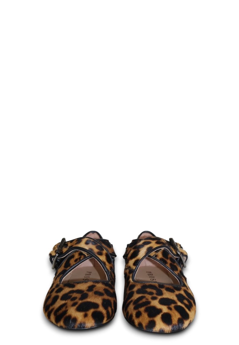 pony - leopardato - 10Decimi