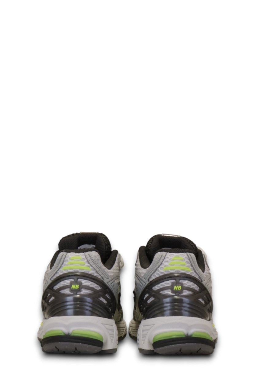 1906 - LIGHT SILVER METALLIC/ALKALINE GREEN D - 10Decimi