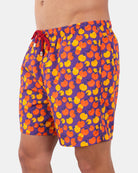 BOXER MARE Viola Red Sox Appeal