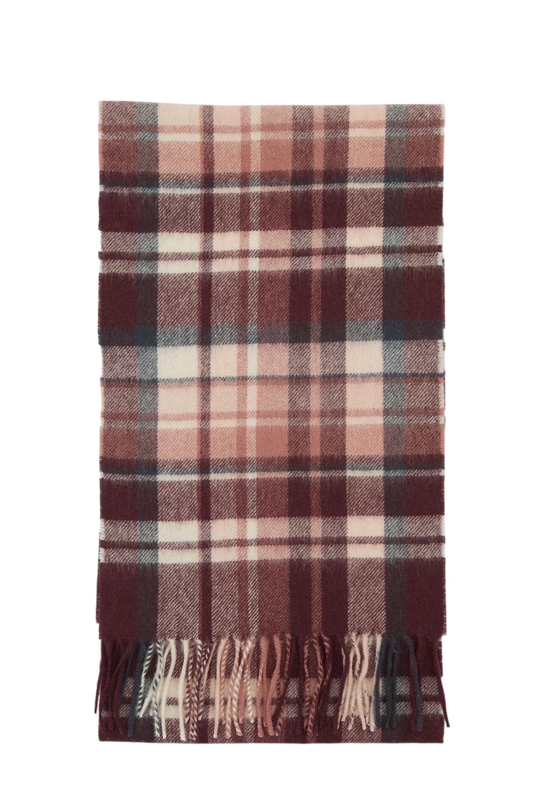 PLAID Marrone Barbour