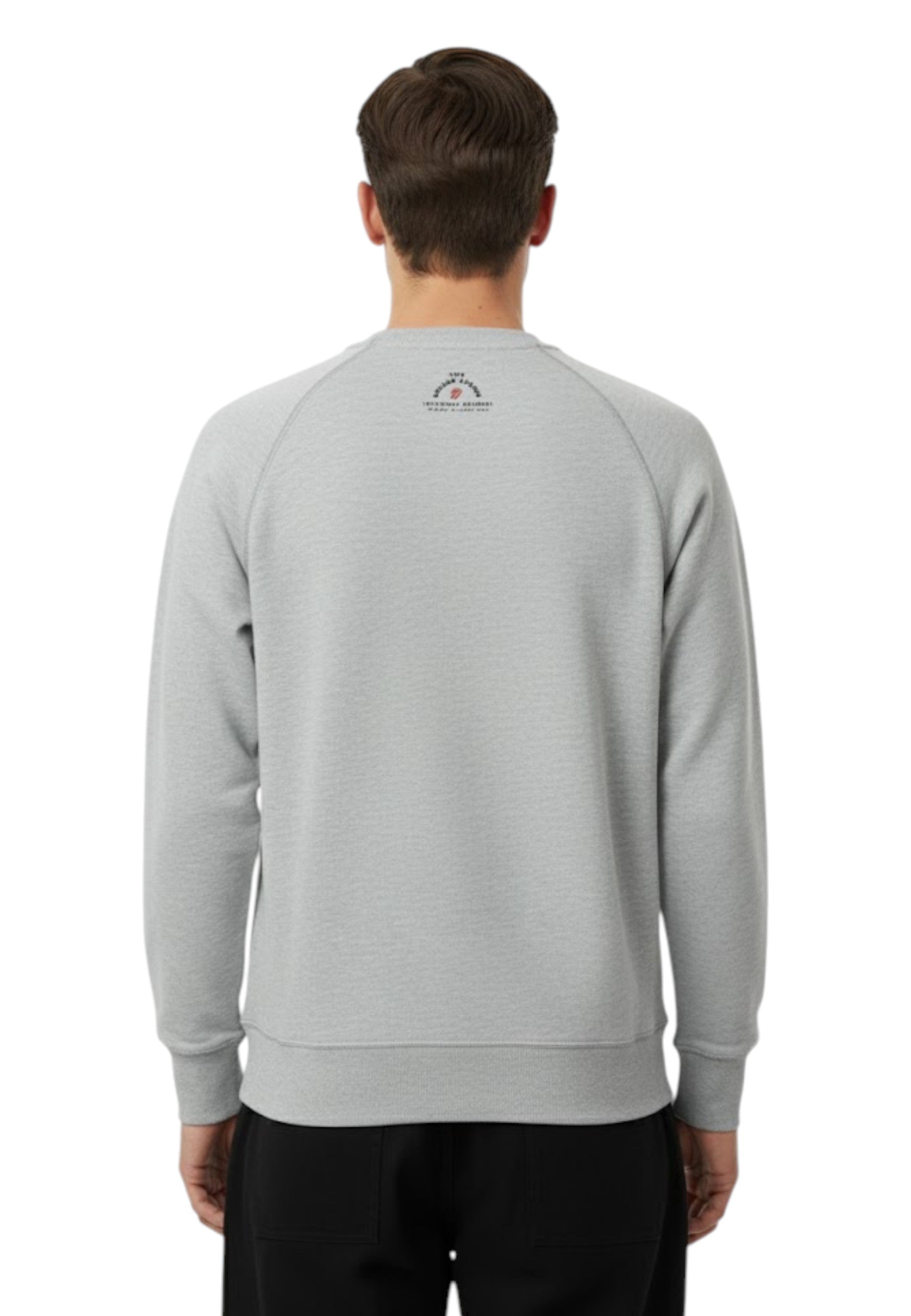 FELPA A GIROCOLLO Grigio In The Box