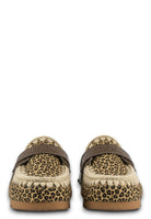 CIABATTE Marrone Mou