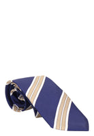 CRAVATTE Blu Sartoriani