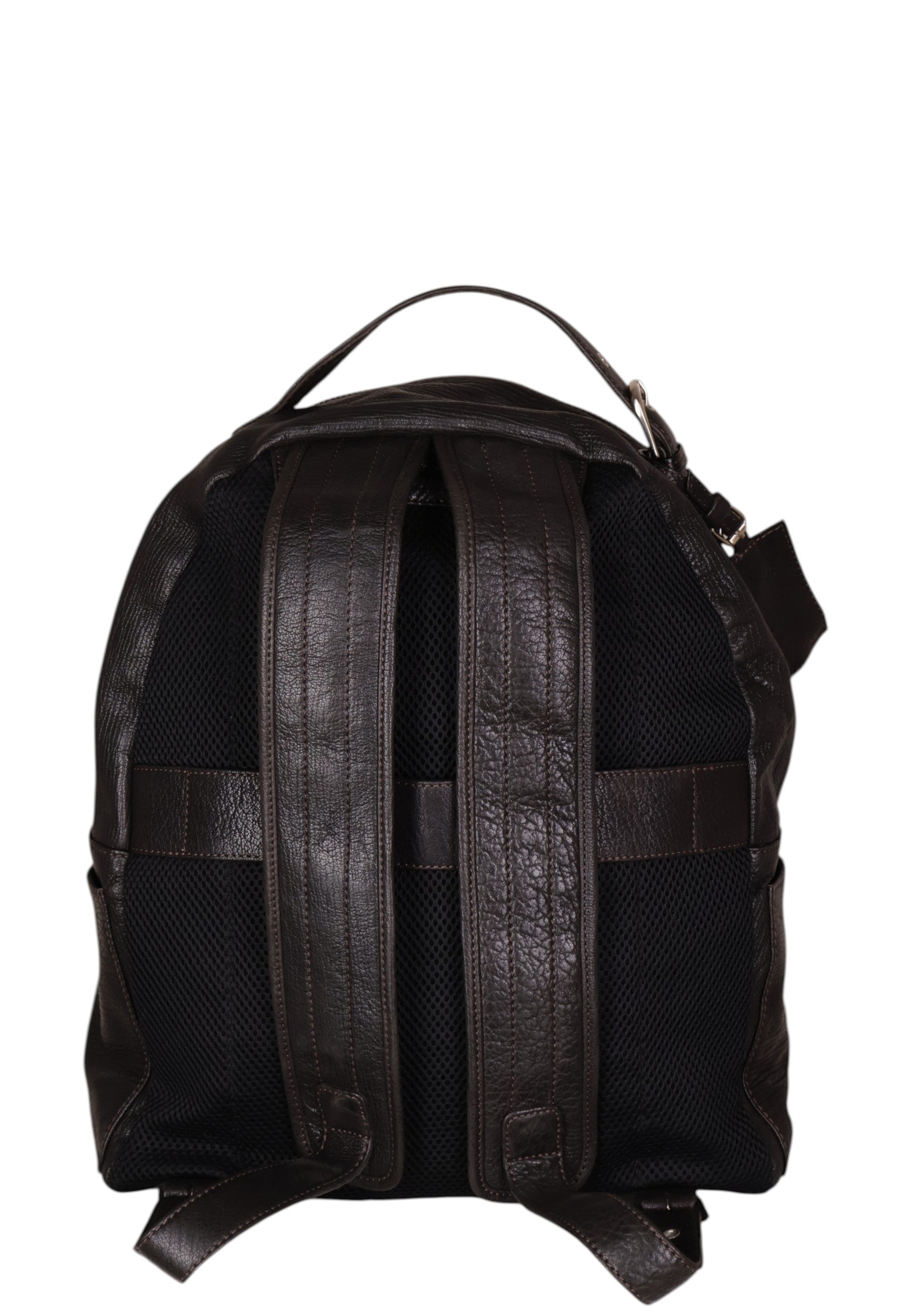 ZAINI Marrone Authority