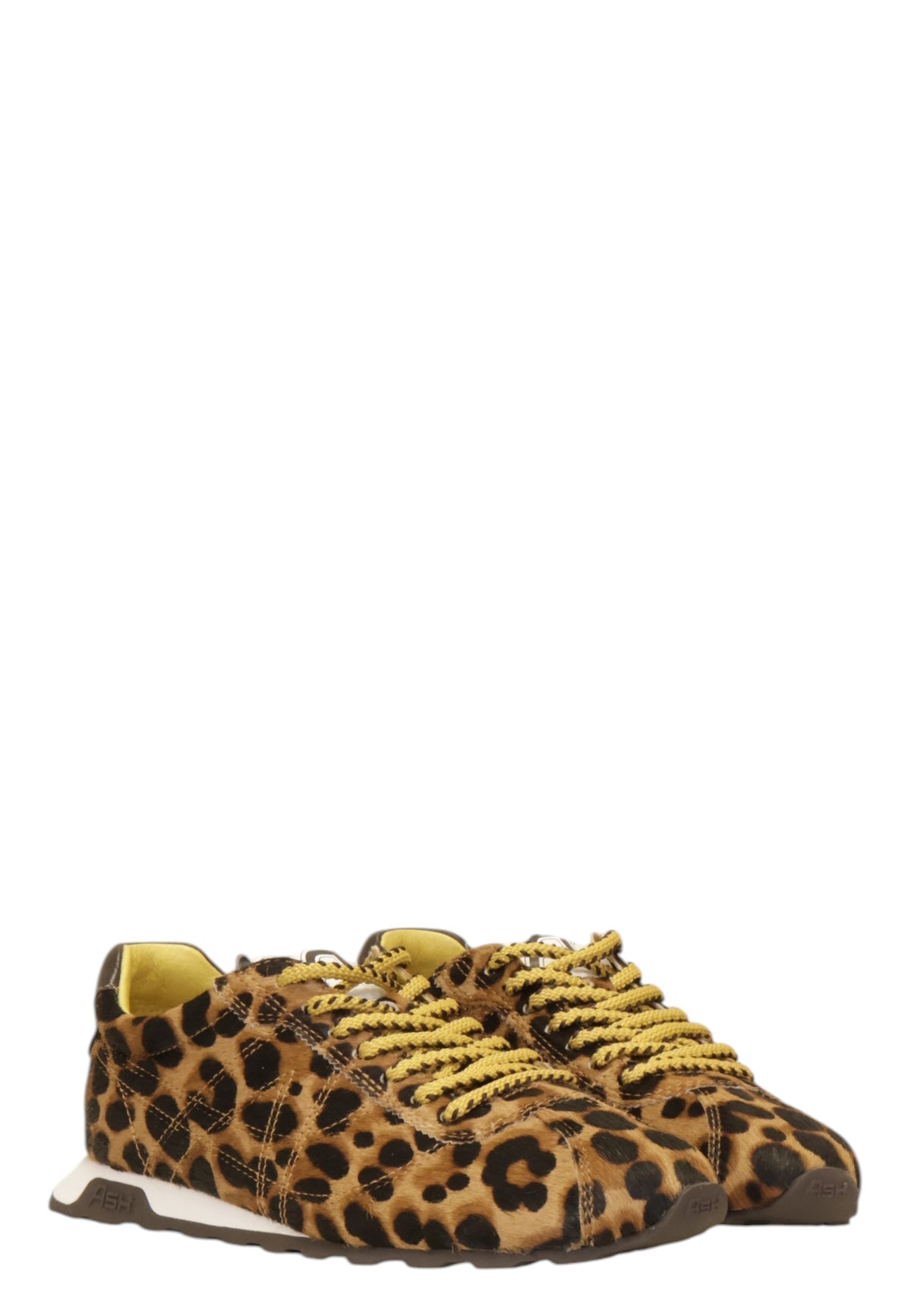 SNEAKERS Marrone Ash