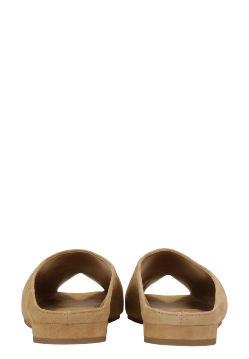 CAMOSCIO - CAMEL - 10Decimi