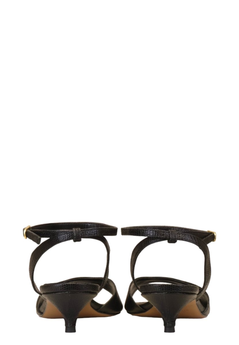 LIZARD - NERO - 10Decimi