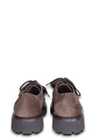 loto - fox testa di moro - 10Decimi