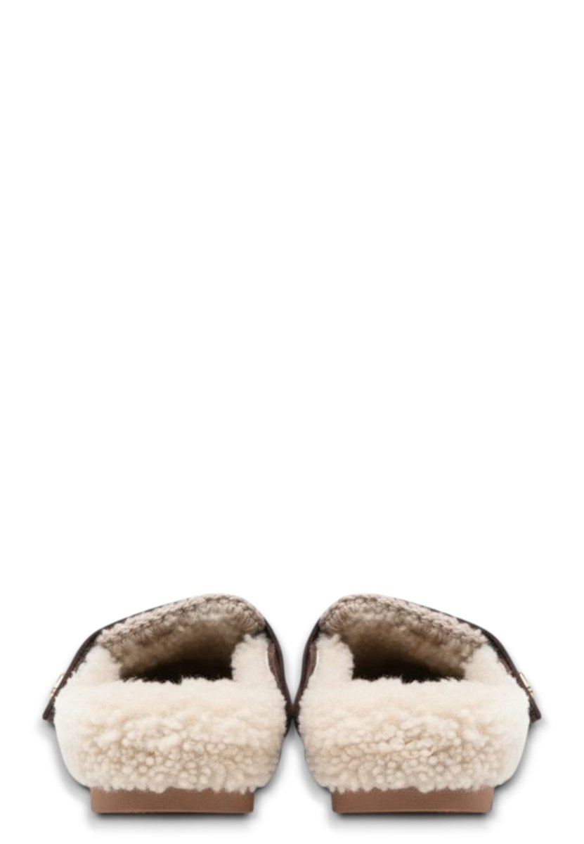 winter bio slide logo - brpep brown pepper - 10Decimi