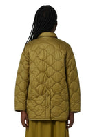 zante - 049 verde oliva - 10Decimi